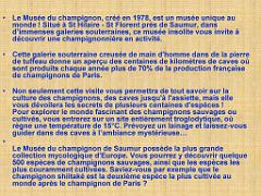 149 MUSEE DU CHAMPIGNON A  SAUMUR 2016 1_000003
